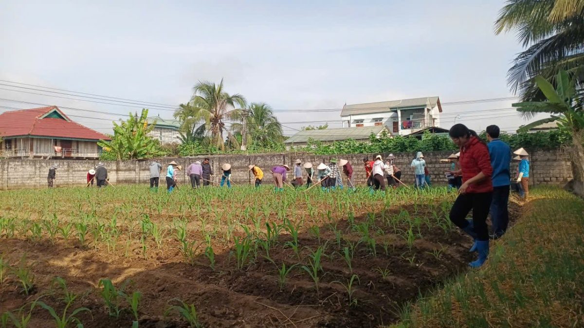 Giáo dục nghề nghiệp cho người lao động - học viên thực hành nghề nông nghiệp tại Sam Mứn
