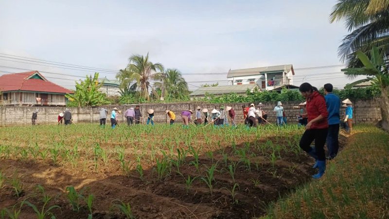 Địa điểm thực hành Tủa Chùa